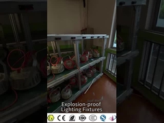 IECEx i ATEX Certyfikowany Wysoki Światło Wodzące Wybuch