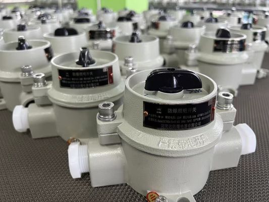 Przełącznik obrotowy przeciwwybuchowy 220V / 380V z WF2 Szara Strefa 22