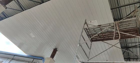 Światło podwodne o napięciu znamionowym 50-60 Hz, odporne na wybuchy, z certyfikatem CE i mocą 100-250 W dla zastosowań przemysłowych