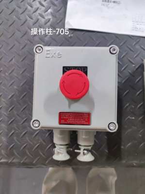 Wyprodukowano w Chinach ATEX 220 V/380 V BLK IP65 Przeciwwybuchowy wyłącznik izolujący Nadaje się do montażu naściennego
