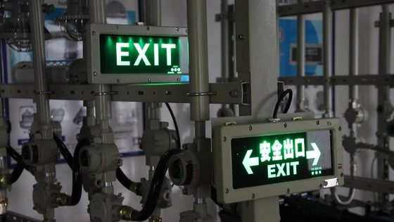 /OEM /LED /Light Exit Light 24VDC / 36VDC / AC / Certyfikowane oświetlenie bezpieczeństwa dla strefy 1 / strefy 2