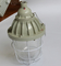 Lampy przeciwwybuchowe ATEX Ognioodporne IP55 Opcjonalny klosz lampy 220VAC, 50-60Hz