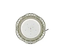 WF2 Światła LED wybuchoodporne, z litem aluminiowym, mocowane na uchwyt CRI &gt; 80