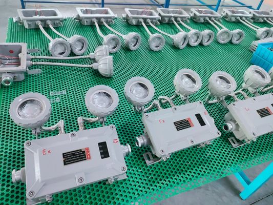 Explosion-proof emergency light, double head safety exit indicator light, LED IP66 220v 50hz wall mount bracket