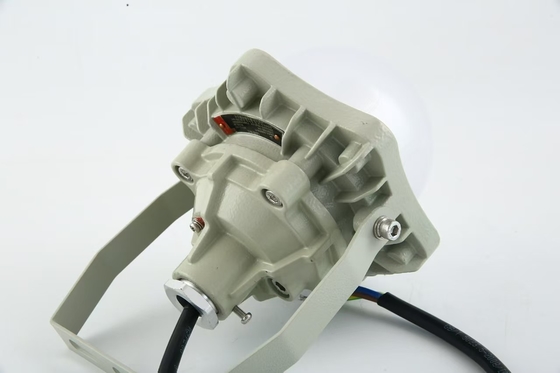 100W wybuchoodporne światło AC220V 50/60Hz IP66 z 70±2CRI Nowy projekt Najlepiej sprzedający się produkty Warsztaty ceny