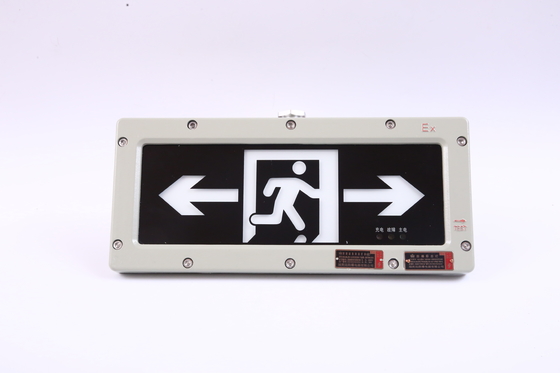 /OEM /LED /Light Exit Light 24VDC / 36VDC / AC / Certyfikowane oświetlenie bezpieczeństwa dla strefy 1 / strefy 2