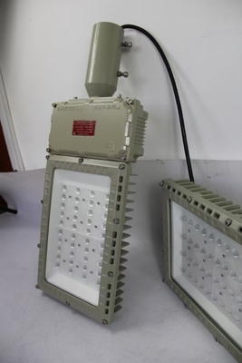 100W 130lm/W Światła przeciwwybuchowe Światła przeciwpowodziwe zewnętrzne wodoodporne wysoka sztywność Oświetlenie dużych obiektów
