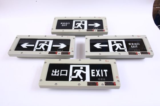 /OEM /LED /Light Exit Light 24VDC / 36VDC / AC / Certyfikowane oświetlenie bezpieczeństwa dla strefy 1 / strefy 2