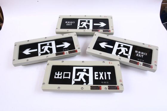/OEM /LED /Light Exit Light 24VDC / 36VDC / AC / Certyfikowane oświetlenie bezpieczeństwa dla strefy 1 / strefy 2
