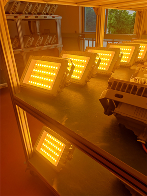 50W 100W 200W 250W Światło przeciwwybuchowe LED Certyfikat ATEX IECEx RoHS CNEX ISO9001
