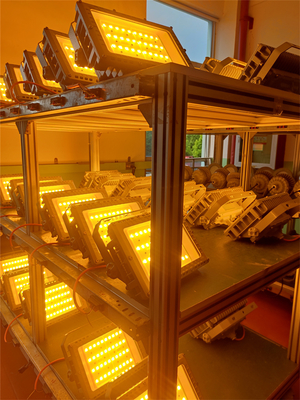 50W 100W 200W 250W Światło przeciwwybuchowe LED Certyfikat ATEX IECEx RoHS CNEX ISO9001