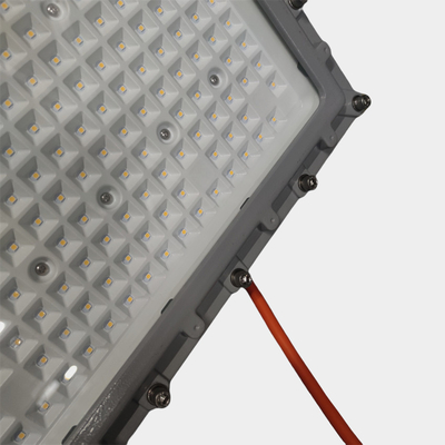 Exproof LED Flood Light ATEX IECEx Ex d 175lm/w dla przemysłu chemicznego na polach naftowych 295V