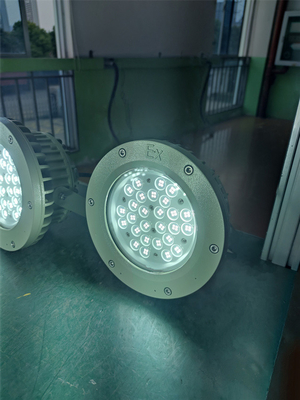 Ex Proof High bay Light 180lm/w ATEX odporny na korozję IP66 Led Outdoor Ceiling Light 50W-250W