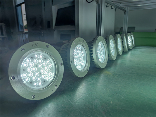 Ex Proof High bay Light 180lm/w ATEX odporny na korozję IP66 Led Outdoor Ceiling Light 50W-250W