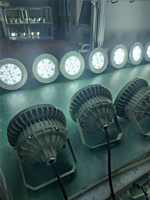 Ex Proof High bay Light 180lm/w ATEX odporny na korozję IP66 Led Outdoor Ceiling Light 50W-250W