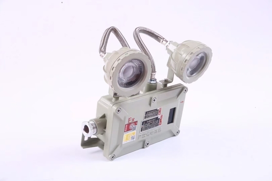 Przemysłowe 2*3Watt 220VAC 24/36VDC ognioodporne oświetlenie awaryjne