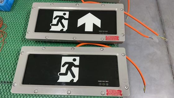 Bez obsługi technicznej ATEX Strefa światła wyjściowego21 Strefa22 Wydajny Bezpieczny wewnętrznie dla materiałów łatwopalnych