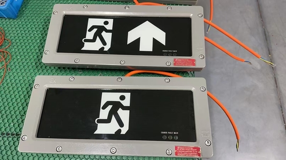 Strefa 1 Aluminiowe światło awaryjne z CRI Ra≥70 i wydłużony czas awaryjny 90 min