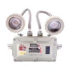 Światło awaryjne 2*3Watt LED 220VAC 24/36VDC dla strefy 1 2