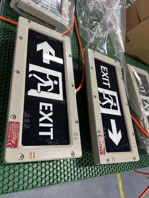 /OEM /LED /Light Exit Light 24VDC / 36VDC / AC / Certyfikowane oświetlenie bezpieczeństwa dla strefy 1 / strefy 2