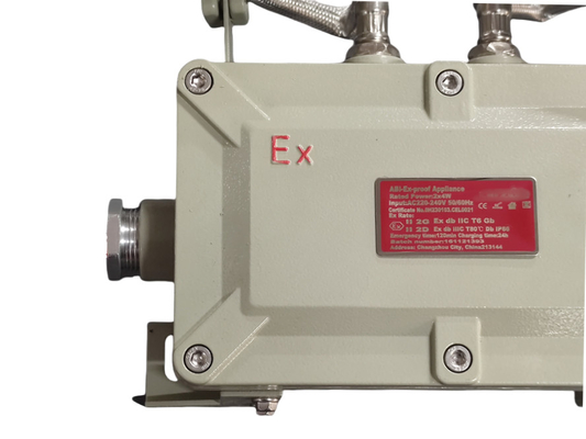 Przeciwwybuchowa lampa awaryjna – montaż na ścianie i suficie | Certyfikat ATEX/IECEx dla zakładów naftowych i gazowych, chemicznych i górniczych