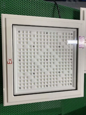 Światło przeciwwybuchowe LED z lampą CREE i kategorią 50-240 Watt