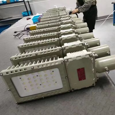 Ciepła sprzedaż Światło przeciwwybuchowe IP66 WF2