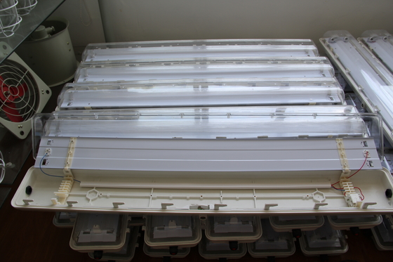 ATEX/IECEx/CNEX Approved Hazardous Area LED Fixture, IP66 Rated, 5-letnia gwarancja, dostosowywalna moc i rozmiar Trwałe światło liniowe typu BYS z potrójną certyfikacją