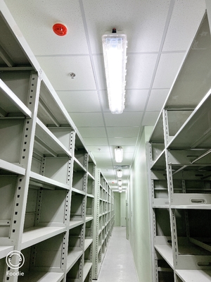4-stopowe liniowe oprawy oświetleniowe LED przeciwwybuchowe do stref zagrożonych wybuchem 2x9W / 2x18W