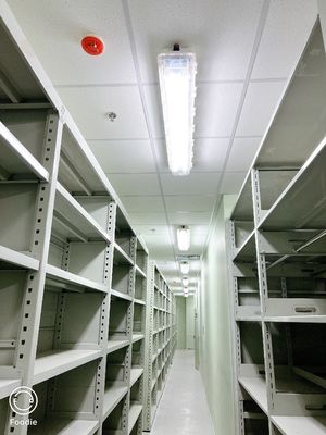 ATEX GRP Material Explosion Proof LED Tube Light IP66 Fluorescent Linear Light z funkcją awaryjną