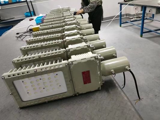 Wysoka lumenność 50w 100w 150w 200w Wydziałowe wybuchoodporne wodoodporne światło LED z pięcioletnią gwarancją
