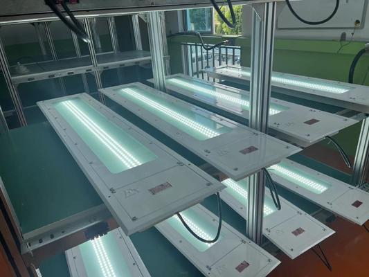 0.6M 1.2M 100LM/W Liniowa Led Proof 36w Przemysłowa Lampa Bezpieczna T6 LED Stalowa Liniowa Światło