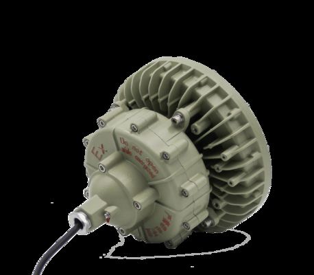 Przemysłowa lampa przeciwwybuchowa ATEX o mocy 50W 100W 150W, oświetlenie LED typu high bay do stacji benzynowych i zakładów petrochemicznych
