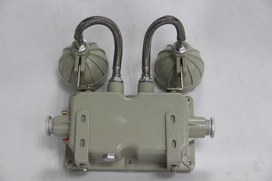 Światło awaryjne z podwójnej głowicy, przeciwwybuchowe, ze stopu aluminiowego 220VAC/24VDC, światło LED o bezpieczeństwie IP66