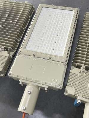 Przeciwwybuchowy naświetlacz/lampa uliczna LED ATEX/IECEx 50-1000W IK10 IP66 dla strefy 1&2/strefy 21&22