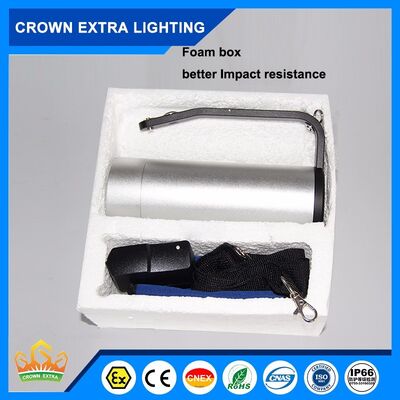 100-watowa przeciwwybuchowa lampa LED z 16-godzinnym czasem awaryjnym, źródło światła LED, odpowiednia do stref zagrożonych wybuchem