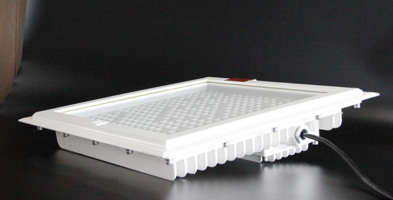 Wybuchoodporna naświetlacz LED o wysokiej jasności 100-250W, maksymalnie 5700K CCT, 5-letnia gwarancja serwisowa dla stref zagrożonych wybuchem na stacjach benzynowych